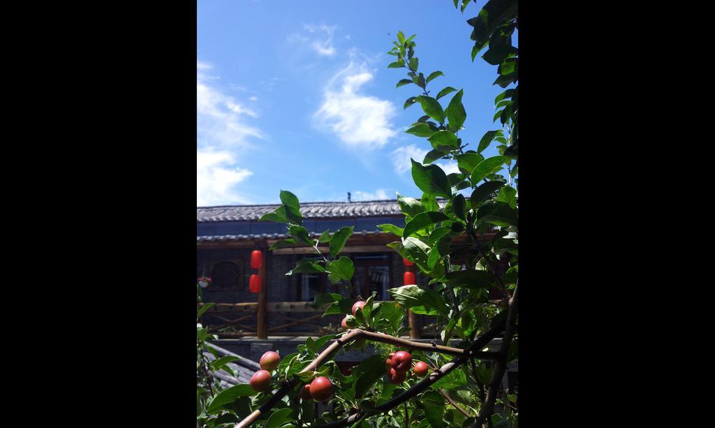 Lazy Tiger Inn Lijiang  Exterior foto