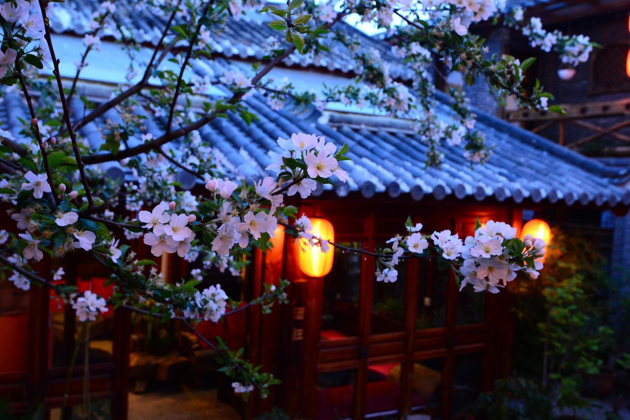 Lazy Tiger Inn Lijiang  Exterior foto
